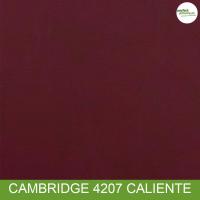 Cambridge 4207 Caliente
